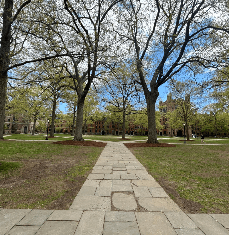 Outside walkway with trees in front of building